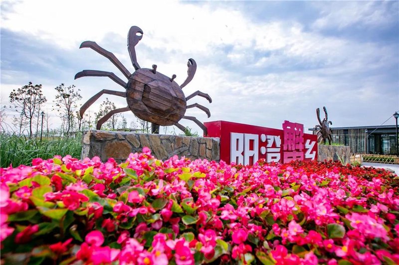 阳澄湖农家乐怎么选？莲花岛吃蟹住宿全攻略